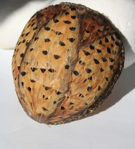 Fab Vintage 40's Asiatic Pheasant Feather Skull Cap Ladies Fitted Facinator Hat - Bild 1 von 8