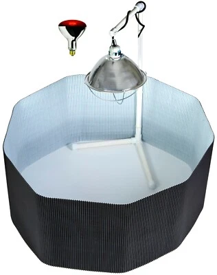 LITTLE GIANT DELUXE CHICK BROODER KIT POLY CORRAL PEN & BULB & LAMP & STAND FOR BABY CHICKENS