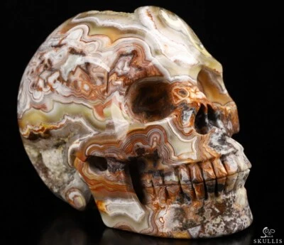 Calavera de cristal tallada geoda ágata de encaje loco rojo de 5,0", realista, cristal curativo Foto 1 de 4
