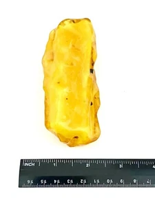 Espécimen natural de caramelo/yema de huevo ámbar báltico - grande 74,35 g - Imagen 1 de 2