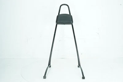 2006 Harley Dyna FXDBI Street Bob OEM barra traseira Sissy com almofada de encosto - Imagem 1 de 4