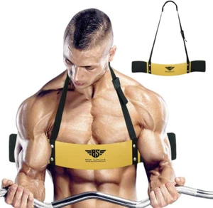 Arm Blaster for Biceps & Triceps Dumbbells & Barbells Curls Muscle Builder Bicep - Picture 1 of 8