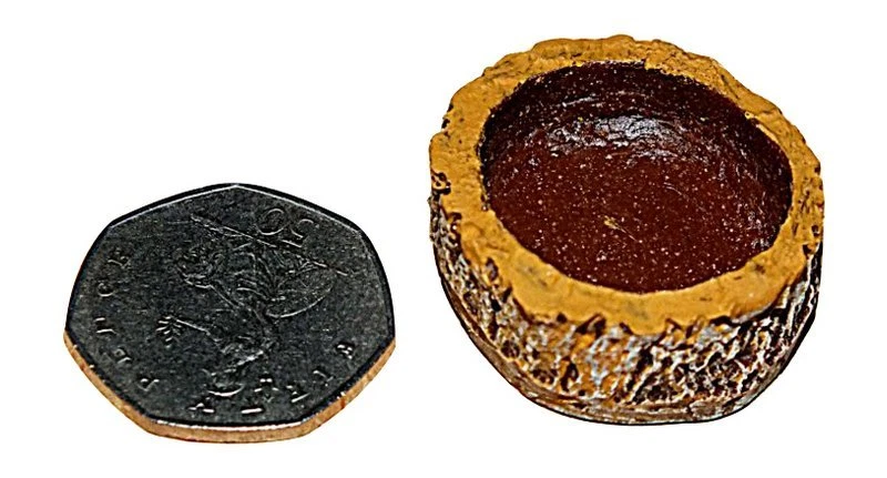 Tarantula,Reptile,Snake,Lizard Vivarium Water Food Bowl,Micro Size x 2