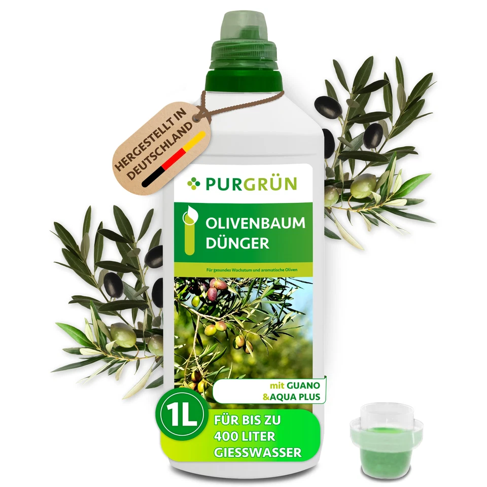 Purgrün Olivenbaum Dünger, NPK 8+8+6, für gesunde Oliven, 1L - Bild 1 von 4