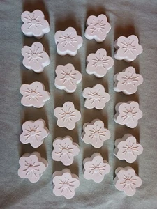 Plaster of Paris painting project. Set of 20 Flowers - Picture 1 of 1