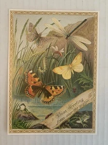 Vintage 5.5”x 4” Christmas Insect Frog Ephemera Holiday Greeting Postcard Card - Picture 1 of 4