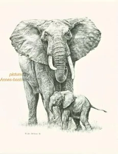 #133 ELEFANT mit BABY Wildlife Kunstdruck * Feder & Tusche Zeichnung * Jan Jellins - Bild 1 von 1