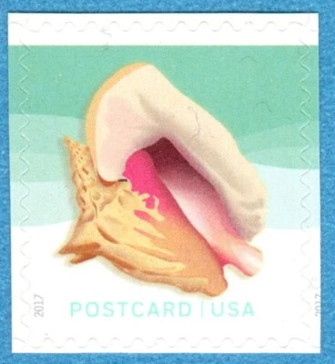Scott #5163, MNH, Forever Postcard Rate, Shells - Queen Conch (2017) - Image 1 of 2