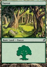 FOREST #300 X4 4 4X Lorwyn MTG Magic the Gathering Cards DJMagic