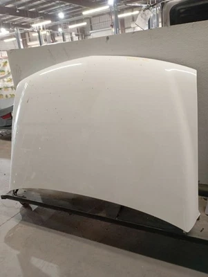 Hood Fits 00-06 SUBURBAN 1500 3963101 - Изображение 1 из 4