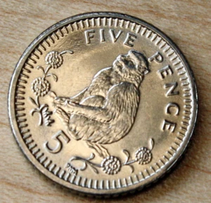 2000 Gibraltar 5 Pence Barbary Ape Unc.  - Picture 1 of 2