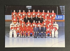 1988-89 CALGARY FLAMES TEAM PHOTO POSTCARD STANLEY CUP CHAMPION SEASON NHL