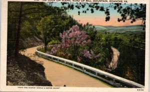 1940s VA Postcard Loop On Scenic Road Up Mill Mountain Roanoke Virginia - Picture 1 of 2