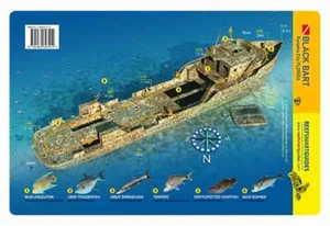 Black Bart Wreck Florida Panhandle Reef Smart Waterproof Dive Card - Picture 1 of 2