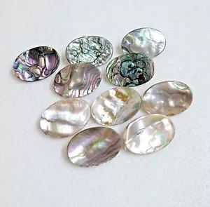 Abalone Shell Oval Button 30mm Metal Shank Iridescent Sewing Knitting Art Crafts - Picture 1 of 12