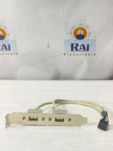 E162747 DUAL 9 PIN HEADER AUF 2 PORT USB 2.0 BUCHSE KABEL RÜCKSEITE PCI PANEL HALTERUNG - Bild 1 von 7