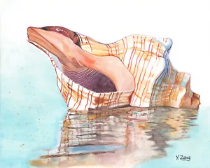 Giclée stampa fine art di gouache dipinto conchiglia, creatura marina 8"x10" - Foto 1 di 2