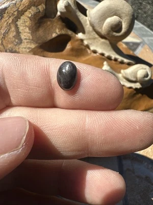 Canadian Blue Sapphire High Dome Cabochon Eye Of Odin Deposit Bluejay Mine #060 — 第 1/4 张图片