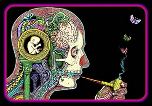 4.5" Marijuana Salvia vision vinyl sticker. 420 weed decal for car, laptop, bong - Picture 1 of 2