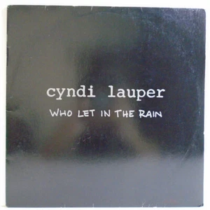 CYNDI LAUPER WHO LET IN THE RAIN BRAZIL 1993 1ST PRESS PROMO 12" LP EPIC 52.237 - Picture 1 of 4