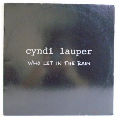 CYNDI LAUPER WHO LET IN THE RAIN BRAZIL 1993 1ST PRESS PROMO 12" LP EPIC 52.237 - Image 1 of 4
