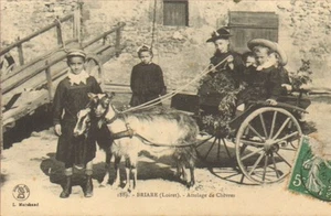 BRIARE (45) CARTE POSTALE / ATTELAGE DE CHEVRES - Picture 1 of 1