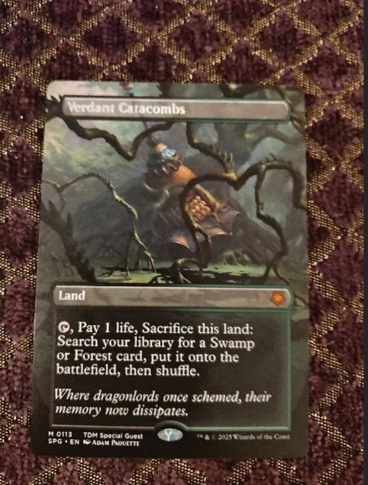 Verdant Catacombs - Special Guest | Tarkir: Dragonstorm | NM | MTG - Image 1 of 1