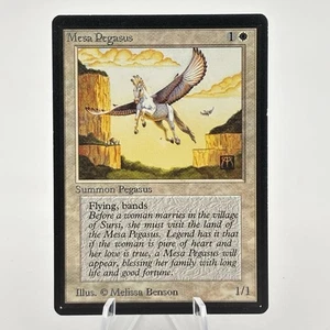 Magic the Gathering MTG - Beta MESA PEGASUS - NM Near Mint - Picture 1 of 6