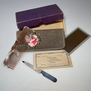 Vintage Pink Pearlized Celluloid Comb Mirror & Case White Lake Michigan Ephemera - Picture 1 of 14