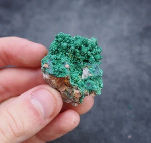 Cristales de piedras preciosas de malaquita natural mineral sobre matriz Marruecos - Imagen 1 de 8