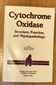 Cytochromoxidase, Struktur, Funktion und Physiopathologie - Bild 1 von 3