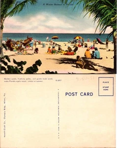 Vintage Postkarte - Ein Winterurlaub in Florida - Goldsand, federleichte Palmen - Bild 1 von 1