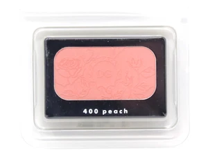 D&G DOLCE & GABBANA BLUSH OF ROSES #400 PEACH 5g .17oz LUMINOUS CHEEK COLOUR - Picture 1 of 1