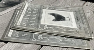 2) POULTRY SUCCESS Magazine: Feb & Oct 1912; Chicken Farming Breeding; Wyandotte - Picture 1 of 23