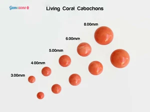 Cabujones de piedras preciosas sueltos redondos naranja trasero plano de 8 mm 10 PIEZAS - Imagen 1 de 9