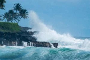 4 oz Candle Scent Oil-SEA MIST - Picture 1 of 1