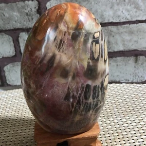 Madera Petrificada Madagascar COLOR GLORIOSO REDONDA - ¡Araucaria BRILLANTE! 735g d872 - Imagen 1 de 12