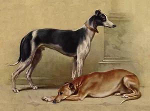 GREYHOUND CHARMING DOG GREETINGS NOTE CARD , TWO BEAUTIFUL DOGS - Foto 1 di 1