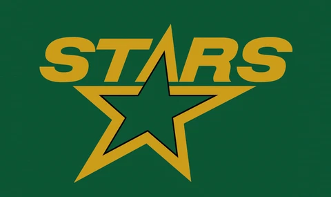 Dallas Stars Flag 3x5ft Banner Polyester Ice Hockey Stanley Cup stars012 Cover