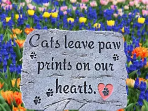 Molde de piedra de hormigón o escalonador placa de gato para pasarela de jardín - Imagen 1 de 4