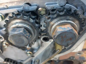 PIGNONI PIGNONE CORONA DISTRUBUZIONE DENTATA  NISSAN X TRAIL   YD22  ALMERA  - Picture 1 of 2