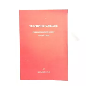 Teachings-in-Prayer Book Instructions From Christ Vol 3 Wang Elizabeth PB RARE - Foto 1 di 12