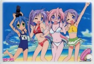 mittlere Federtafel Shitajiki Lucky Star Anime Izumi Konata Kagami Tsukasa - Bild 1 von 1