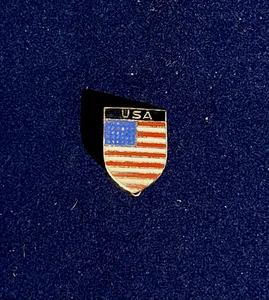 VINTAGE USA SCUDO SPILLA DISTINTIVO SOUVENIR DA VIAGGIO / RARO / CIRCA  5/8" X 1/2" - Foto 1 di 2