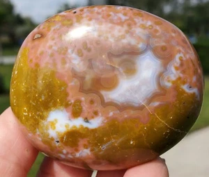 Ozeanjaspis Madagaskar/SALE!/8. ADER!/60mm Palmenstein/SCHÖN/MAROVATO OJ! - Bild 1 von 12