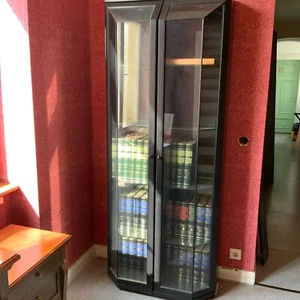 Vitrine HÜLSTA Spektrum schwarz 2-fach verformt 80 cm x 198 cm - Bild 1 von 16