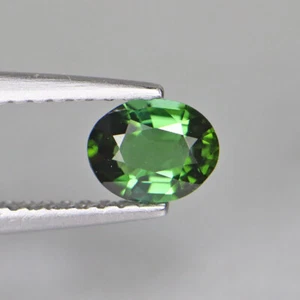 Glowing Oval 0.42 Cts Natural Elbaite Tourmaline Gemstone - Picture 1 of 8