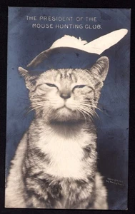 RPPC Postal Rotógrafo Serie Gato "Presidente del Ratón Club de Caza" 1905 - Imagen 1 de 2