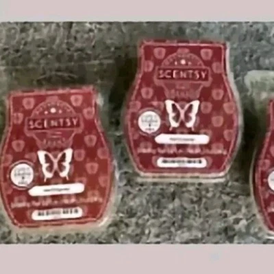 Lote de (2) Barras de Cera SCENTSY Nuevas ~ Barras HEMINGWAY 3.2 Onzas * Nuevas en Paquete  Foto 1 de 3