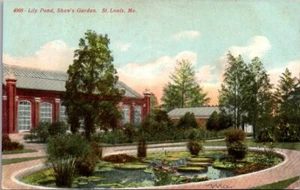 Cartolina LILY POND Shaw's Garden ST. LOUIS, Missouri MO - Foto 1 di 2